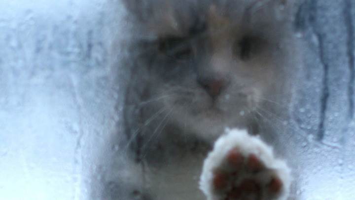 Please Open The Door, Its Frezing Outside